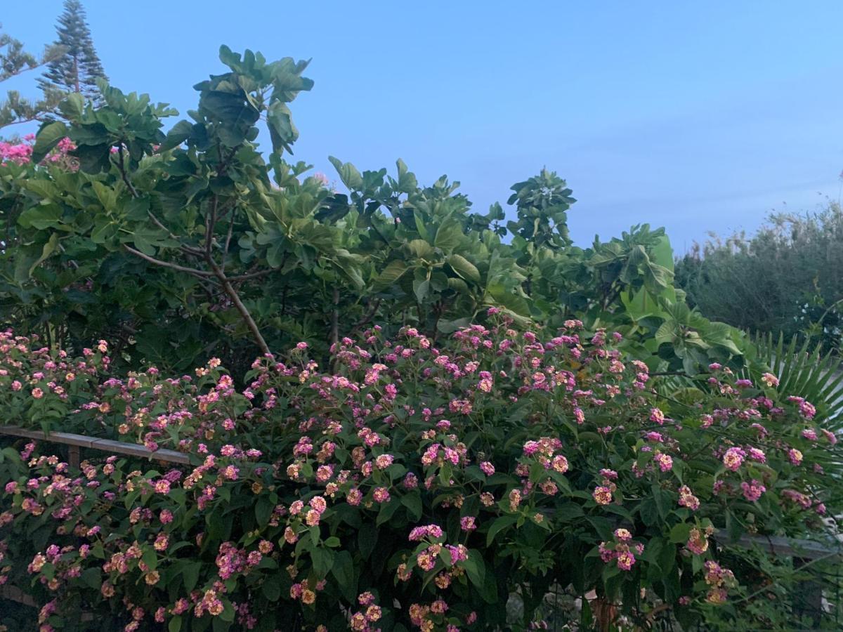 Villa Morgana Menfi Buitenkant foto